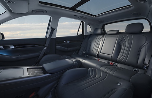 Panoramic Sunroof
