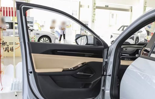 Premium Door Panels